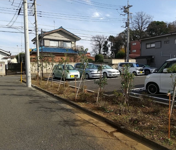 樹木伐採・剪定・除草