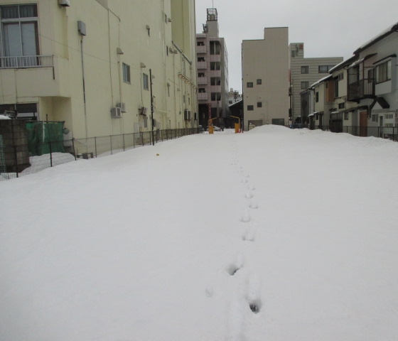 除雪